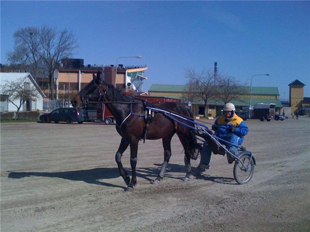 私達の競走馬_a0159707_18561470.jpg