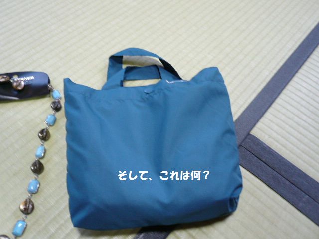 e0094407_11552.jpg