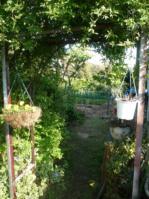f0236607_8114561.jpg