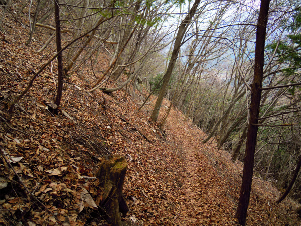 e0121110_2324133.jpg