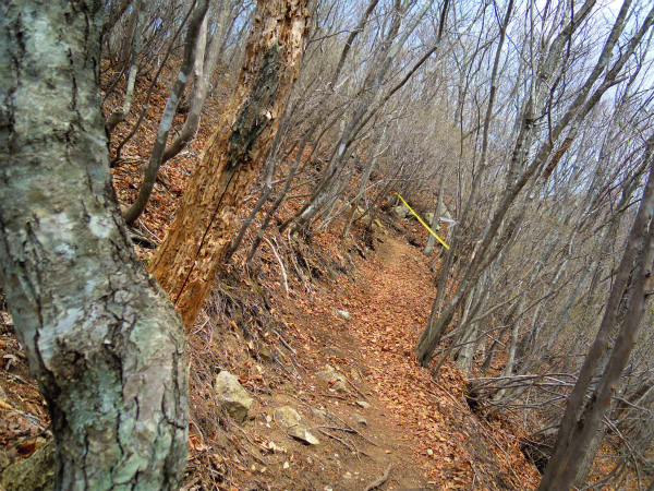 e0121110_233539.jpg