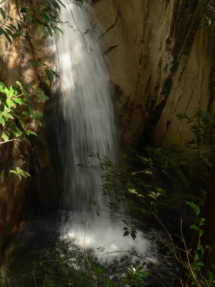 f0219710_7301553.jpg