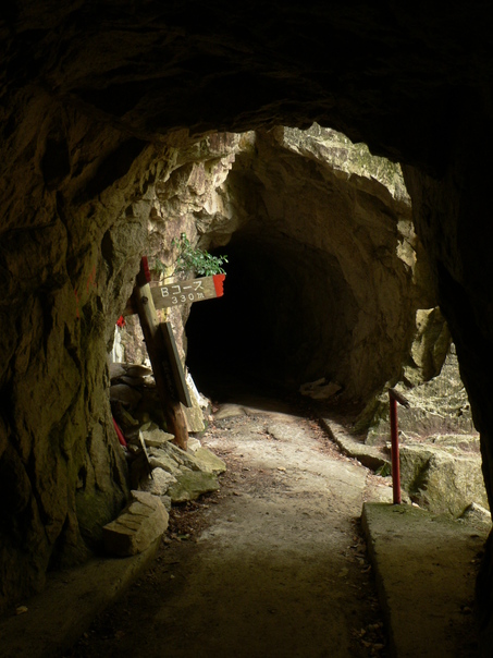 f0219710_7324690.jpg