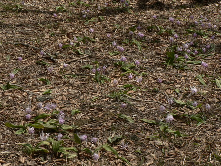 f0219710_7554761.jpg