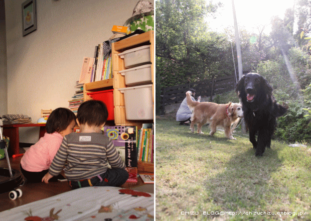 c0017311_15143110.gif