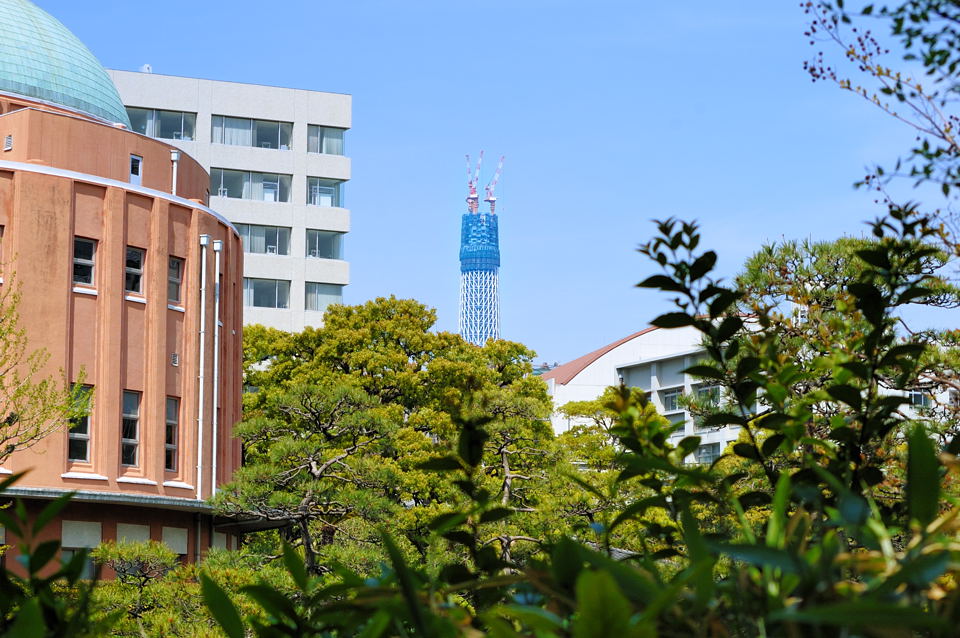 b0105512_8362898.jpg