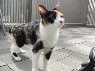 c0201113_22274124.jpg