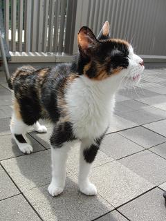 c0201113_22275655.jpg
