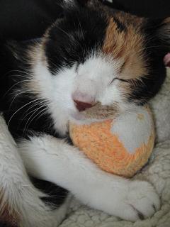 c0201113_2238371.jpg