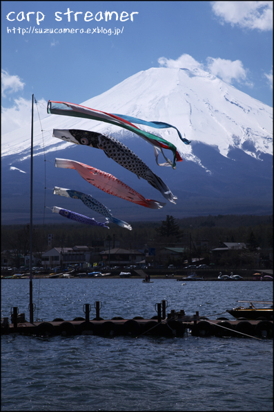 鯉のぼり_f0100215_2234727.jpg