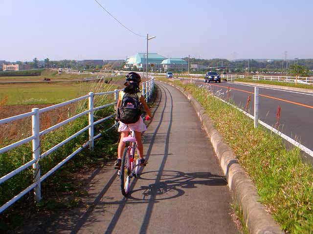 b0146418_51212.jpg