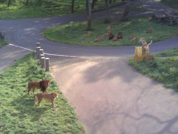 c0083518_1848399.jpg