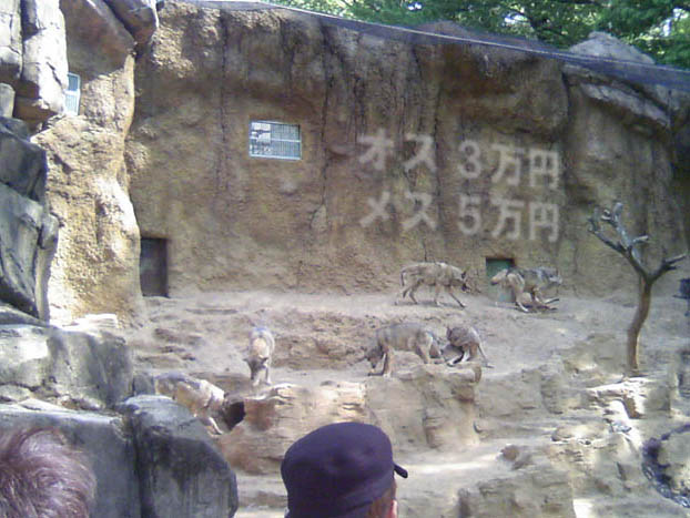 c0083518_19235695.jpg