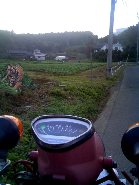 c0083518_202926.jpg