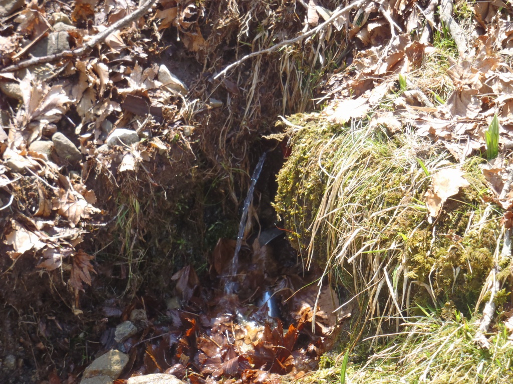 e0171018_2159172.jpg