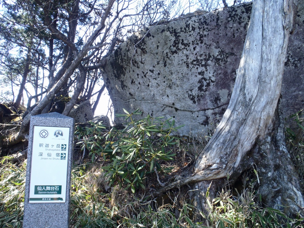 e0171018_227439.jpg