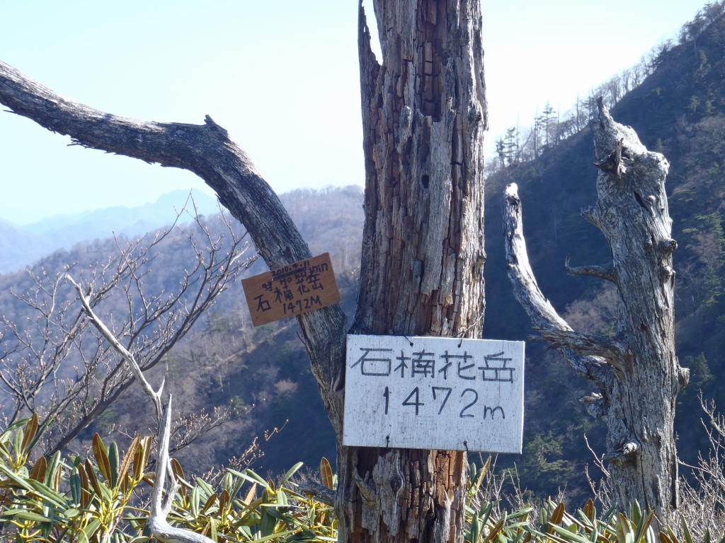 e0171018_2275173.jpg