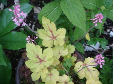 f0054421_1858063.jpg