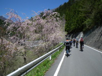 f0177521_165343.jpg