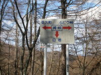 f0177521_1673730.jpg