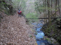 f0177521_1684584.jpg