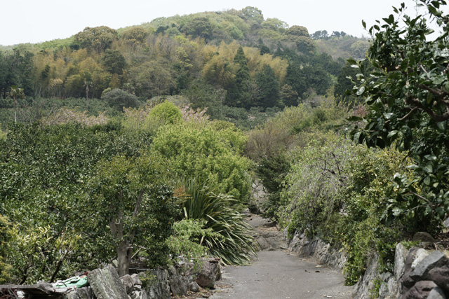 a0068424_15493789.jpg
