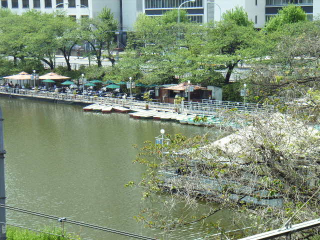 e0177824_14542251.jpg