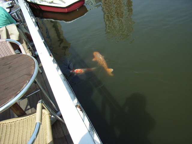 e0177824_14562758.jpg