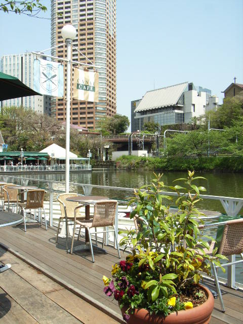 e0177824_1532786.jpg