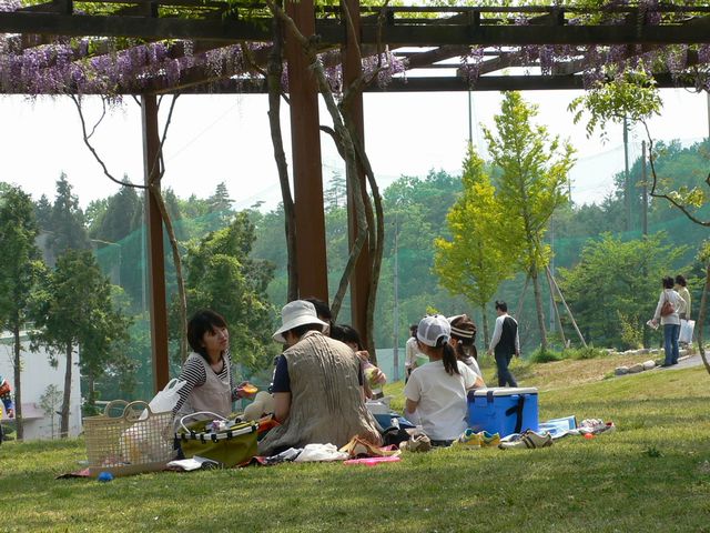 d0092026_181446.jpg