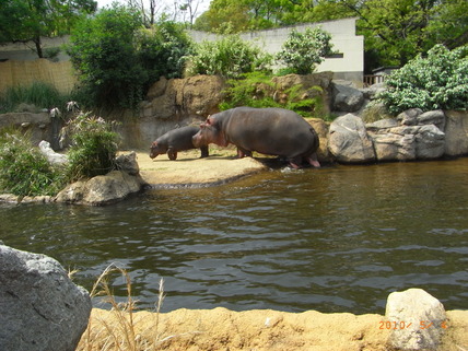 e0139926_1036238.jpg