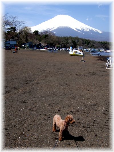 富士山と_f0143227_16501556.jpg