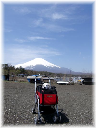 富士山と_f0143227_16505875.jpg