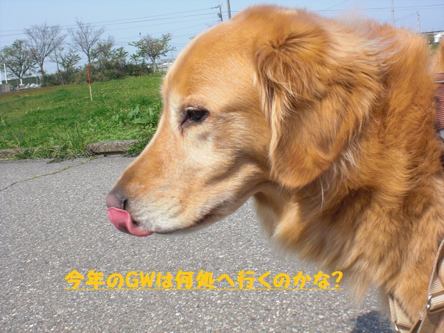 f0114128_12131391.jpg