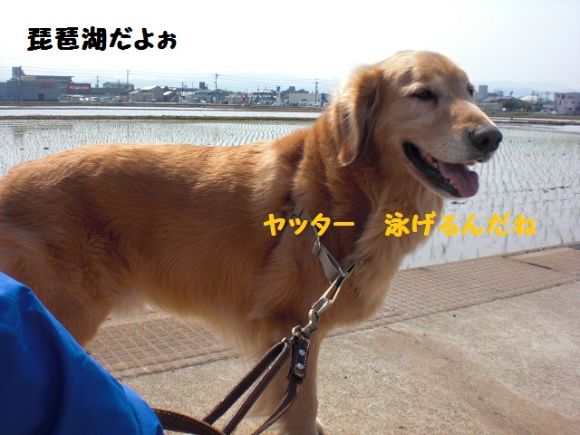 f0114128_12152943.jpg