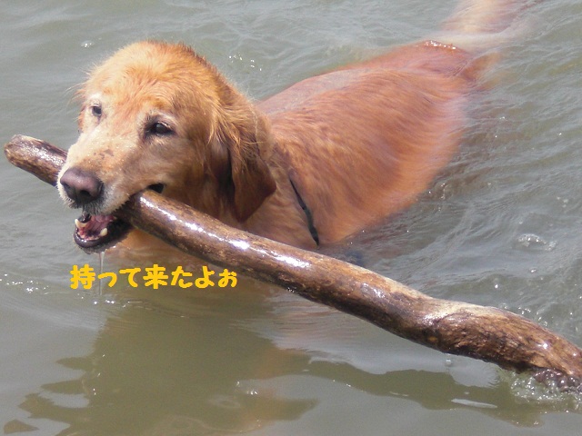 f0114128_1224299.jpg