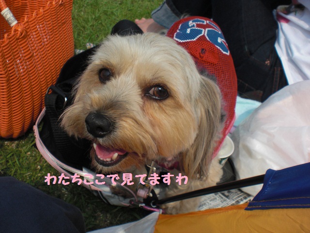 f0114128_1230375.jpg