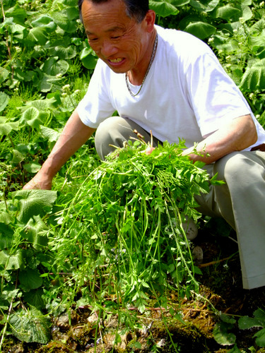 「島根・仁多 日本有数のブランド米 仁多米のふるさとです」_a0000029_20544061.jpg
