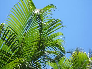 c0051529_0134180.jpg