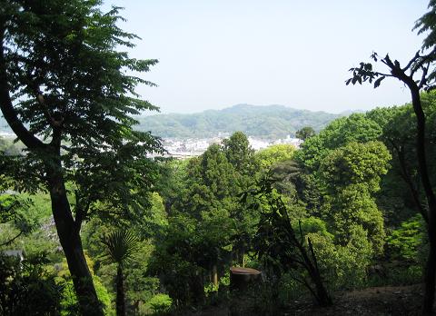 c0107330_20391560.jpg