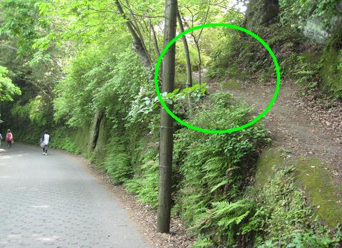 c0107330_2122713.jpg