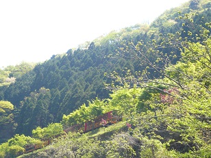 c0226331_1965343.jpg
