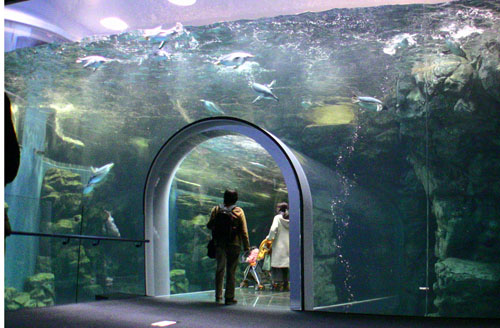 b0086532_16223987.jpg
