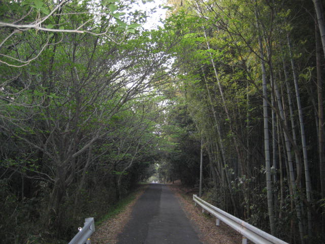 b0166435_9525231.jpg