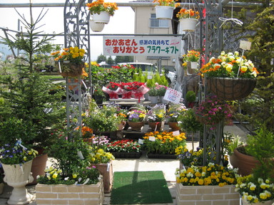 a0158236_1415077.jpg