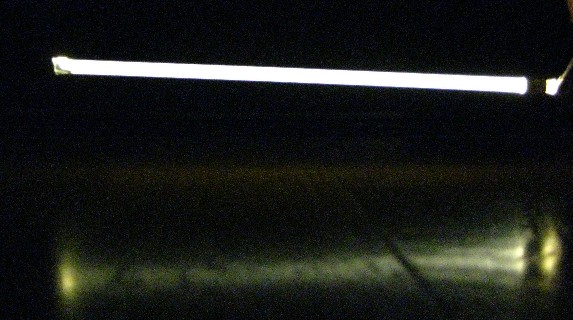 b0128336_2017982.jpg