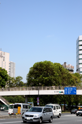 b0006537_15292476.jpg