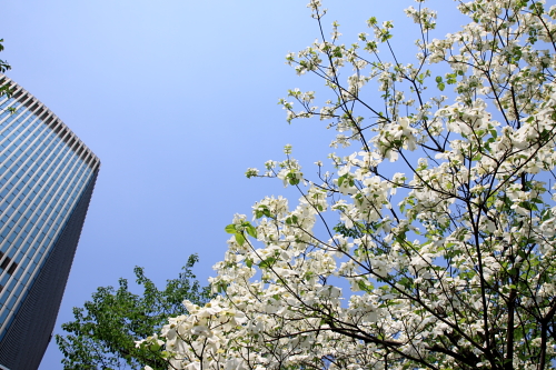 b0006537_15295562.jpg
