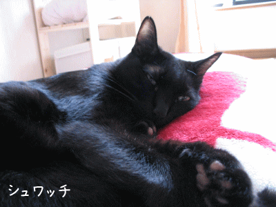 a0166338_17543297.gif