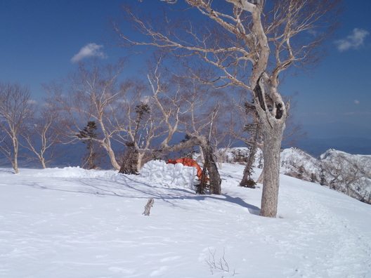 f0182938_04366.jpg